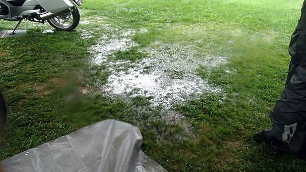 一部の芝は浸水